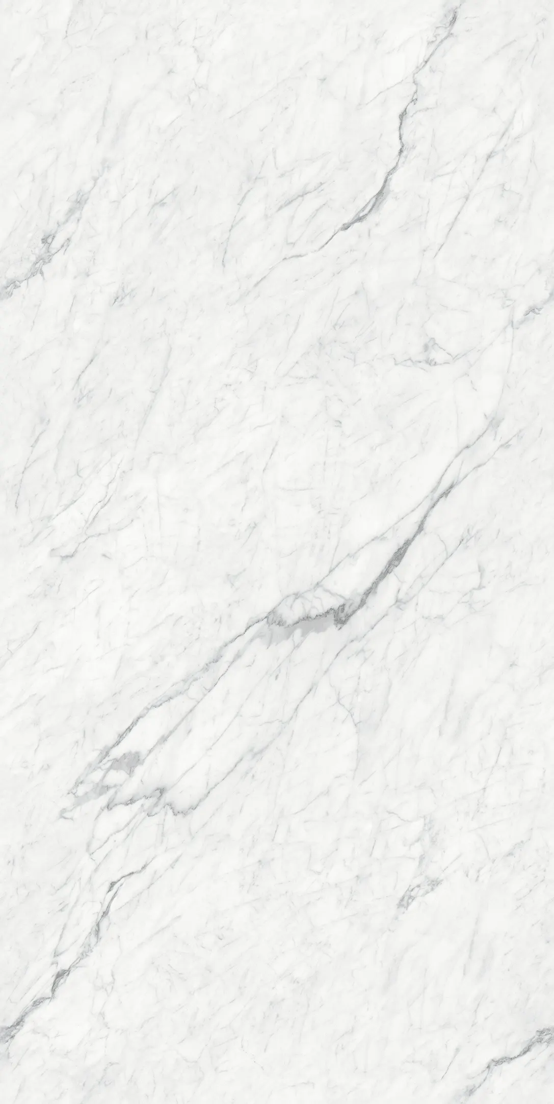 Bianco Gioia