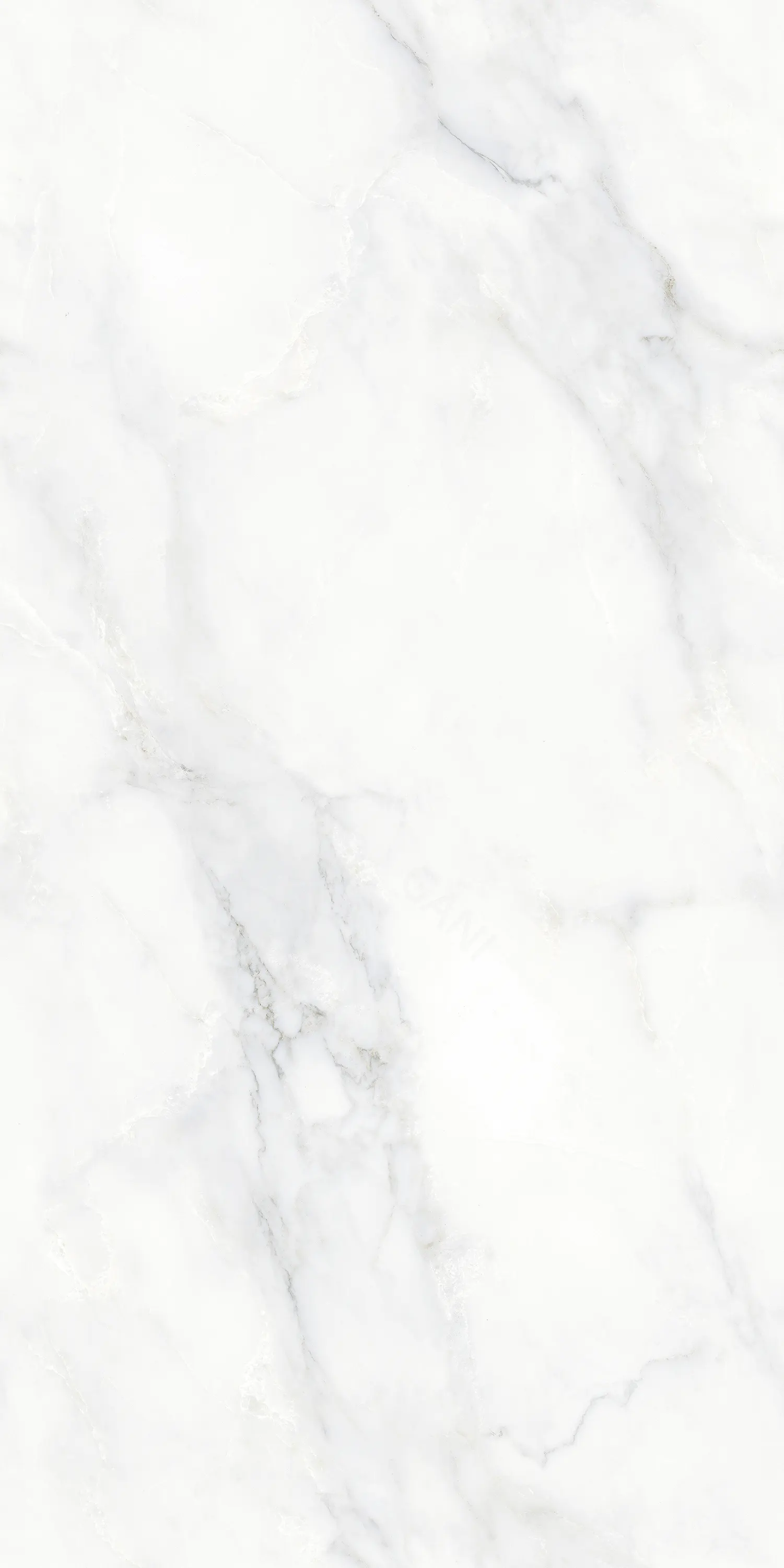 GANI BIANCO RHINO — White