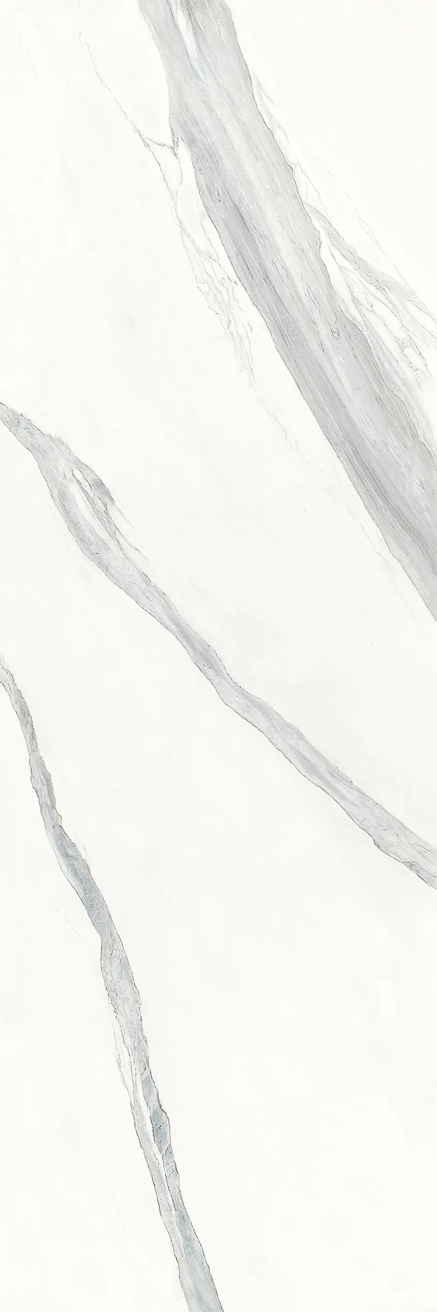 GANI BIANCO VENATO — White