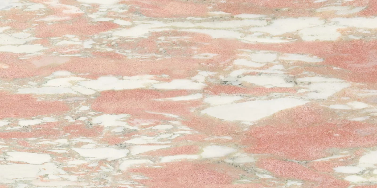 GANI ROSA NORVEGIA — White+Red