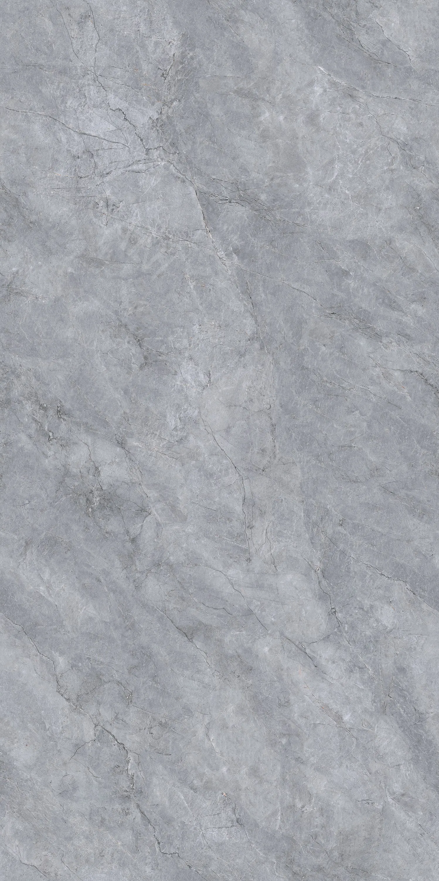 GANI SAVOY GREY — Grey