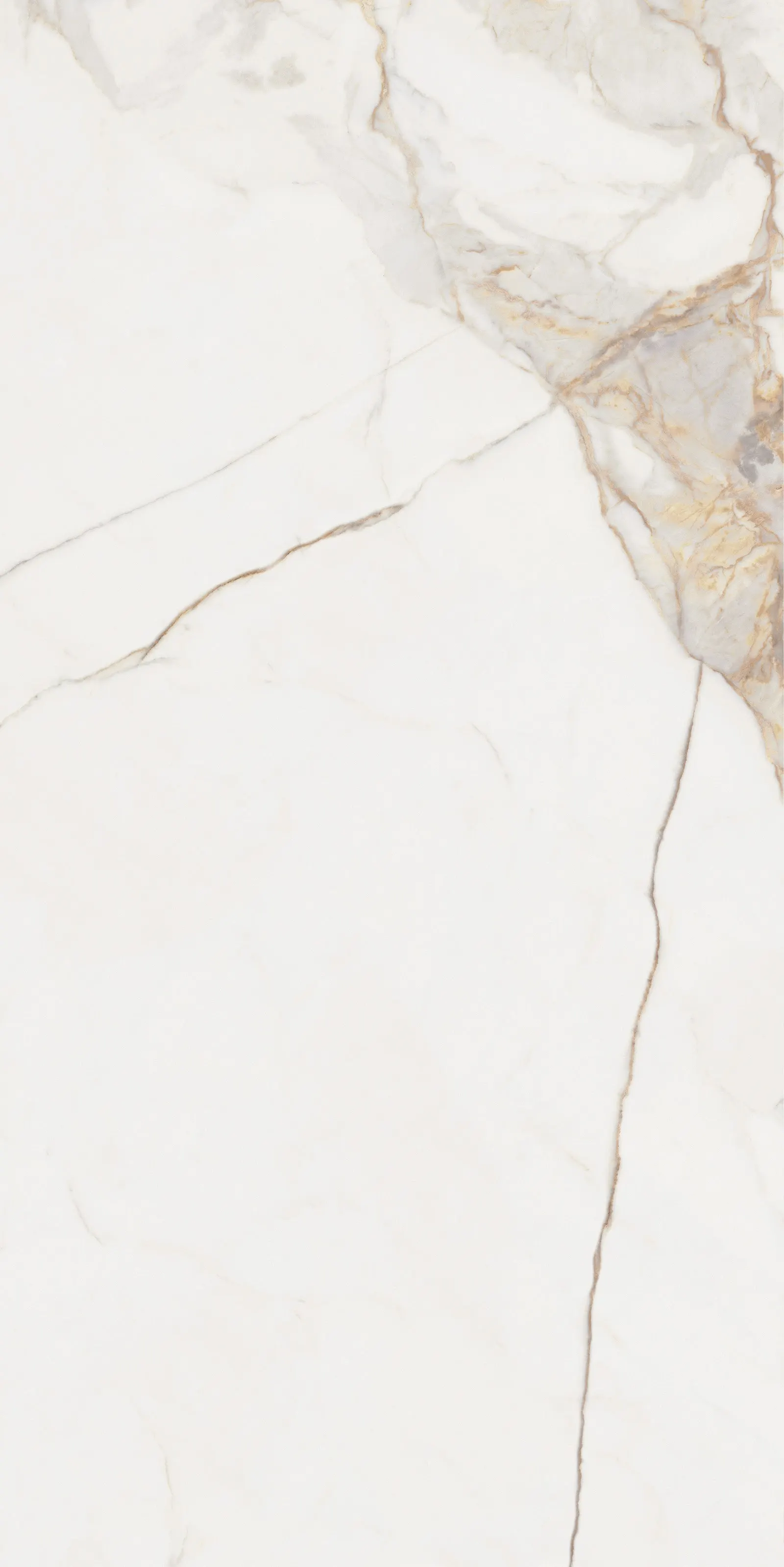 GIANIA CALACATTA GOLD