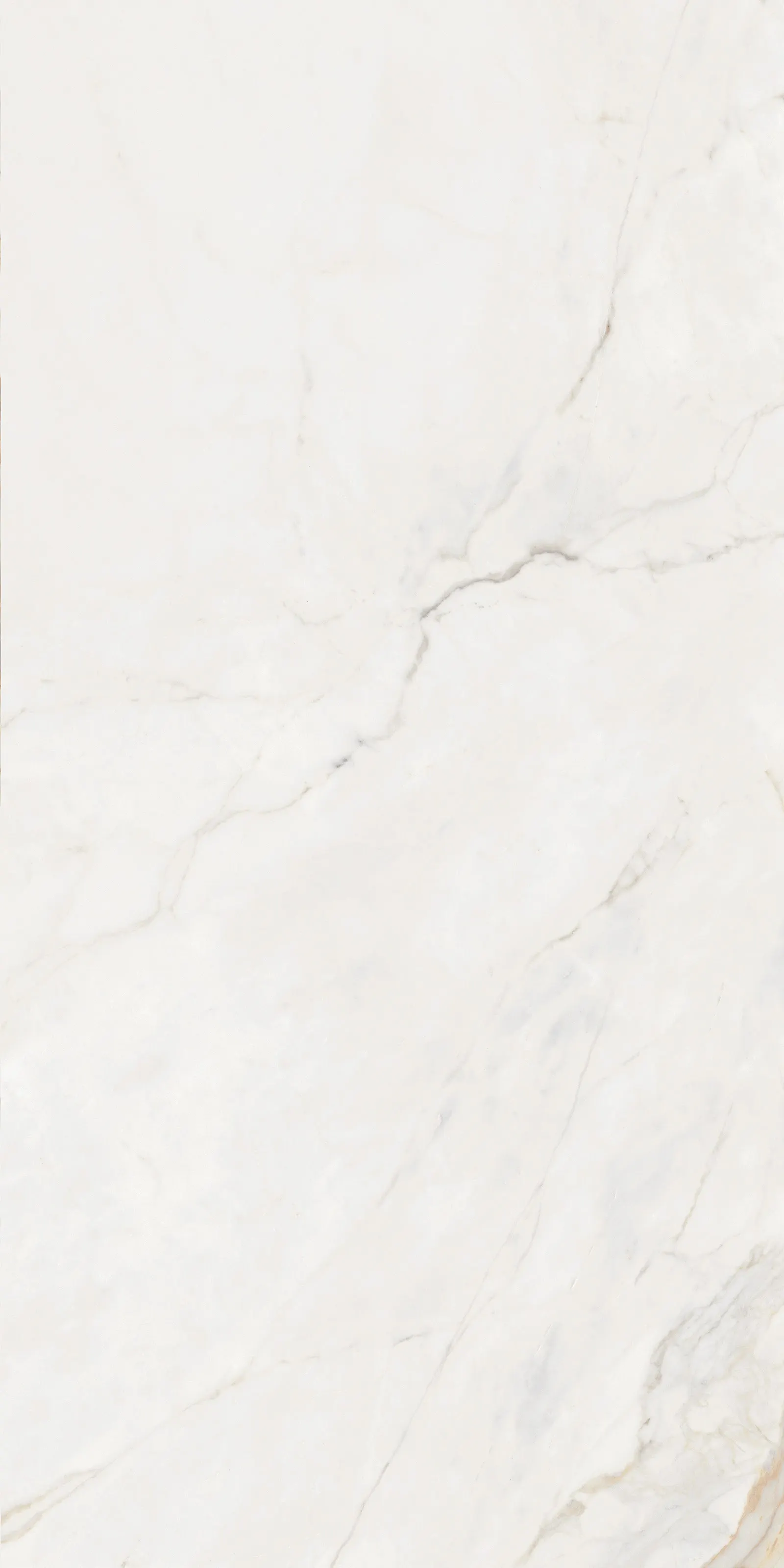 CALACATTA GOLD