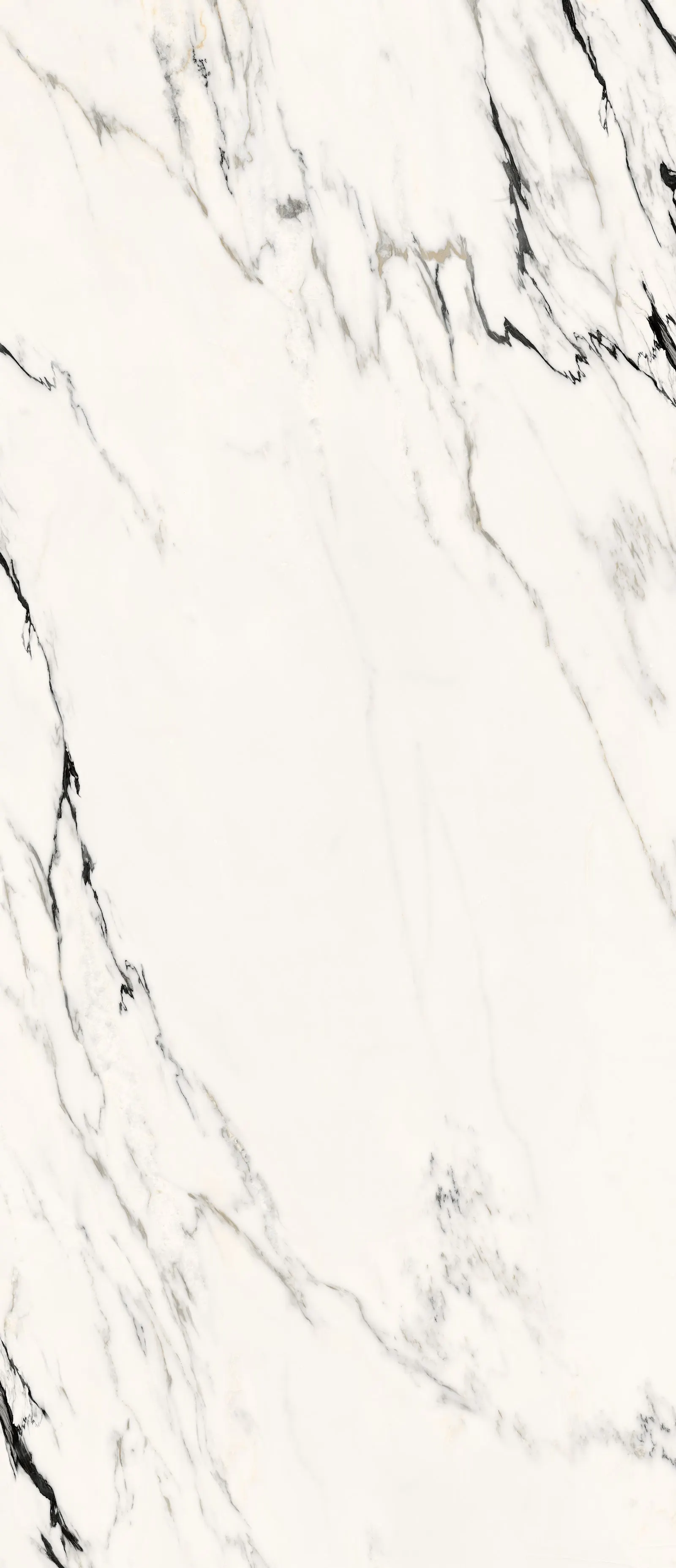 GIANIA EAST WHITE