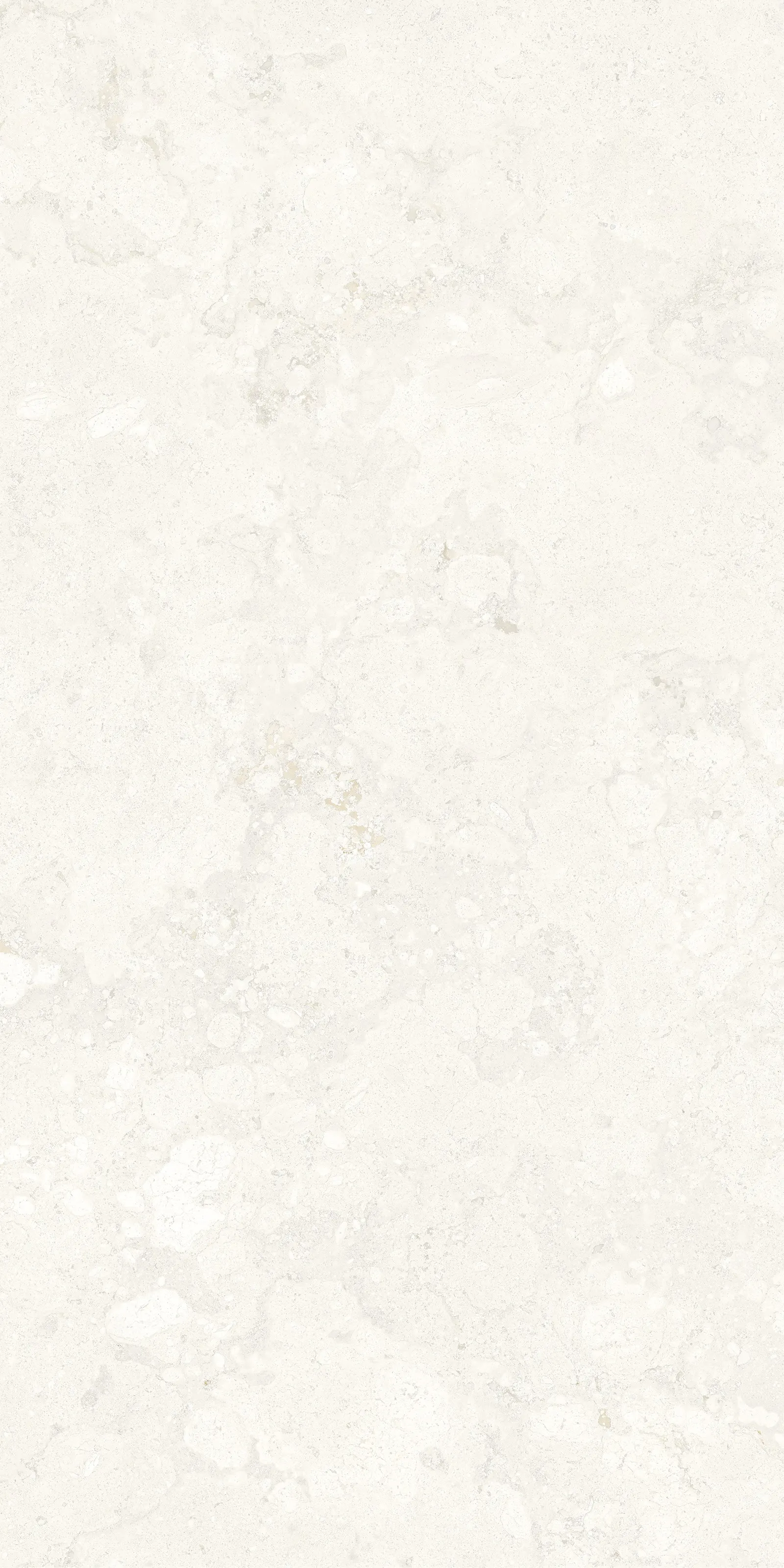 GIANIA FOSSIL