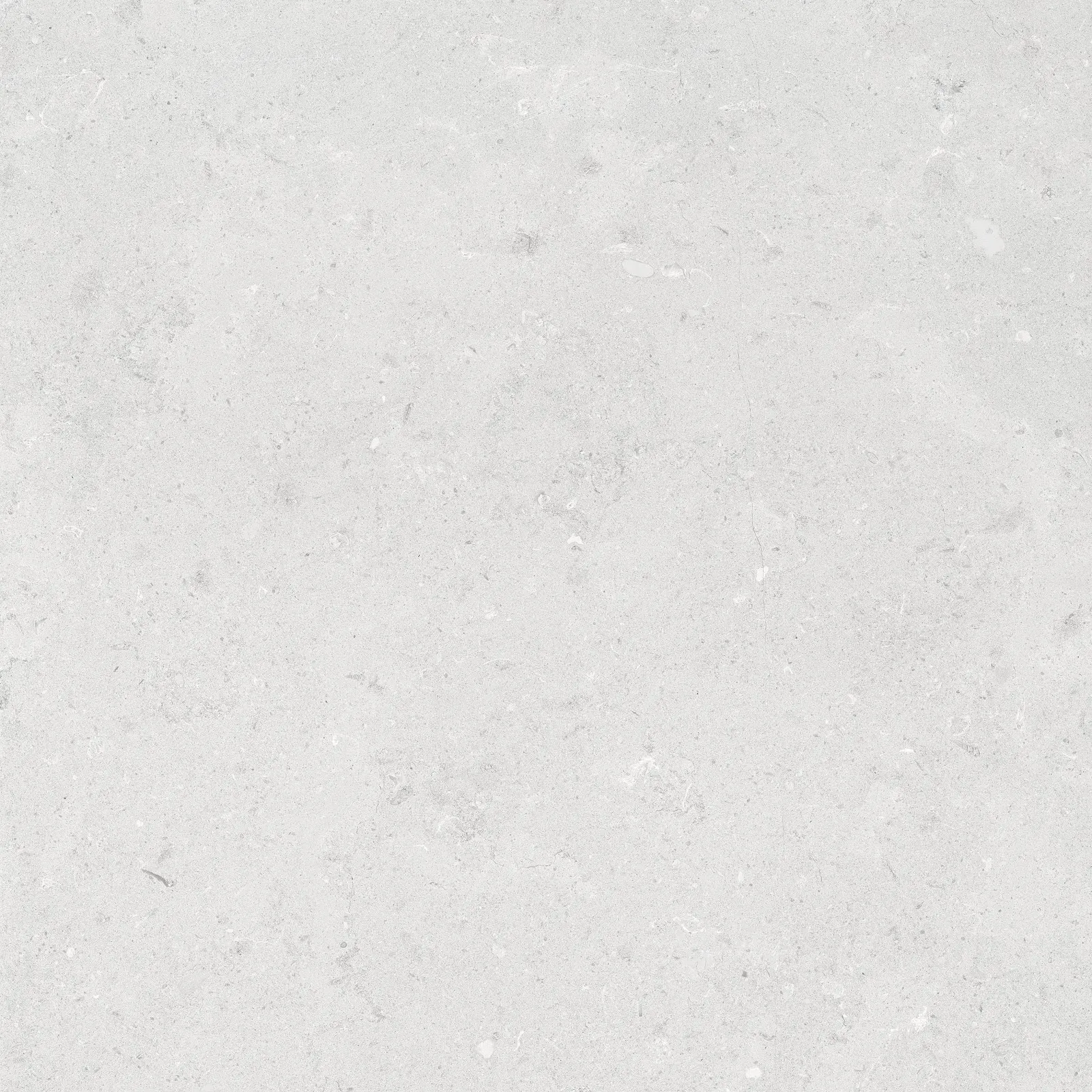 GIANIA LIMESTONE — Silver
