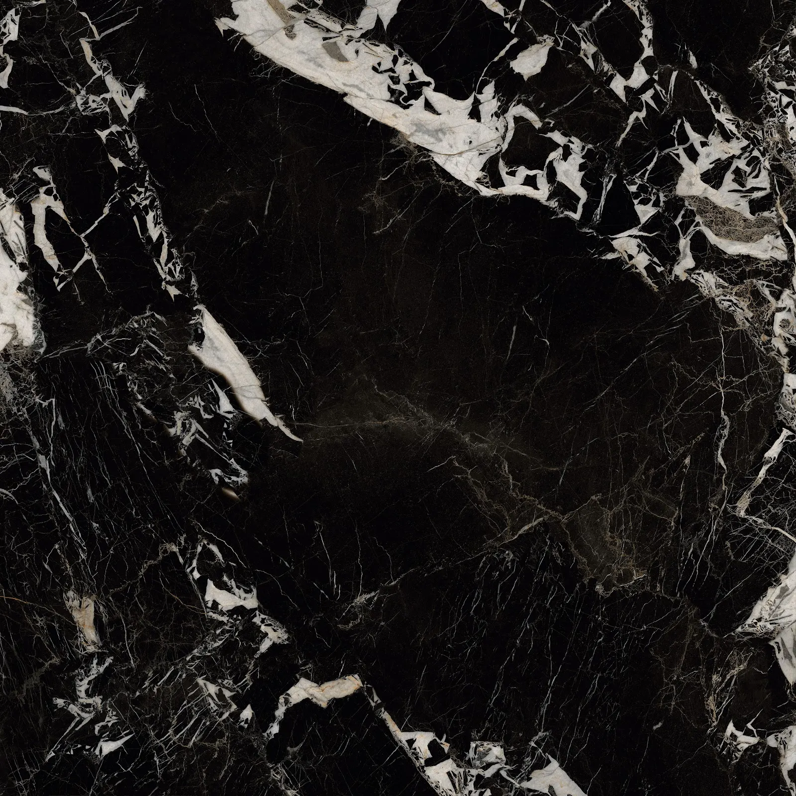 GIANIA NAPOLEON BLACK — Black