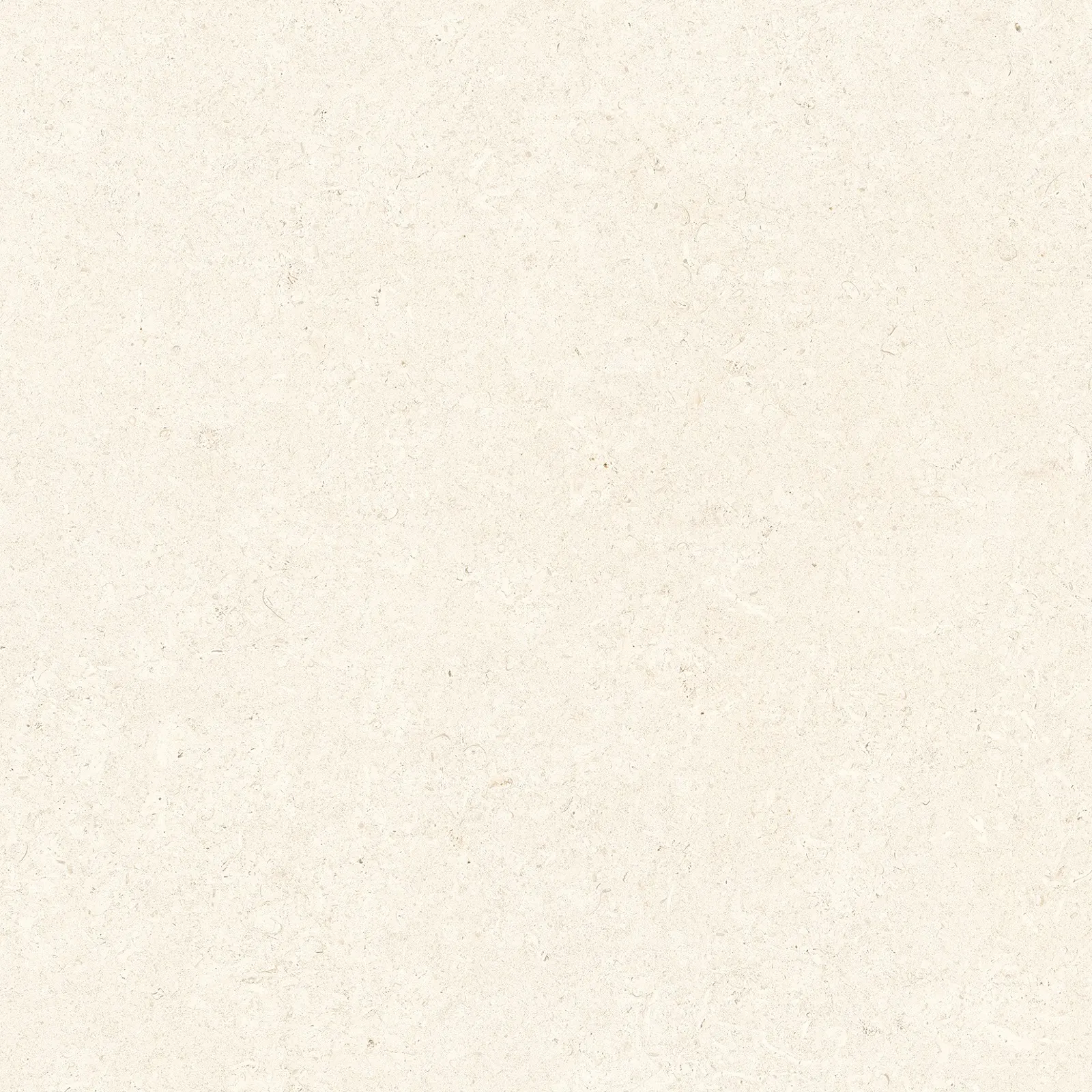 GIANIA PIETRA — Cream