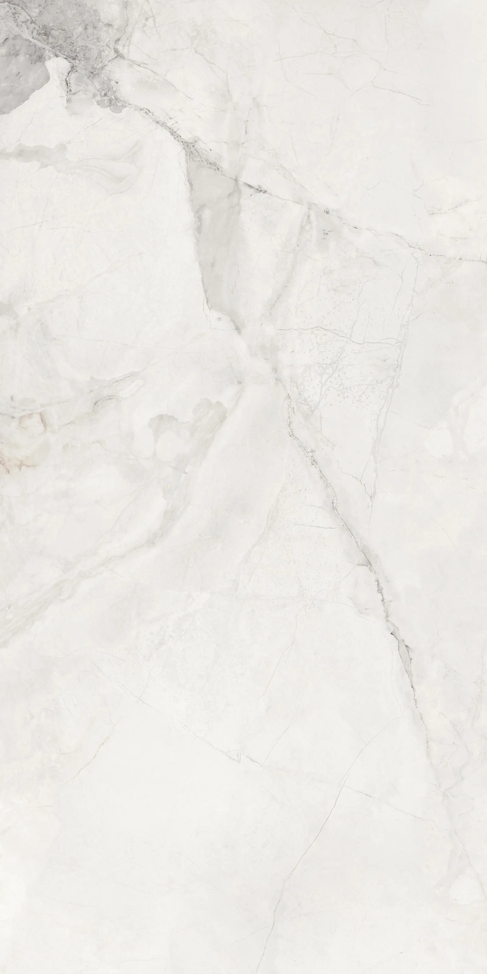 GIANIA SILK WHITE — White