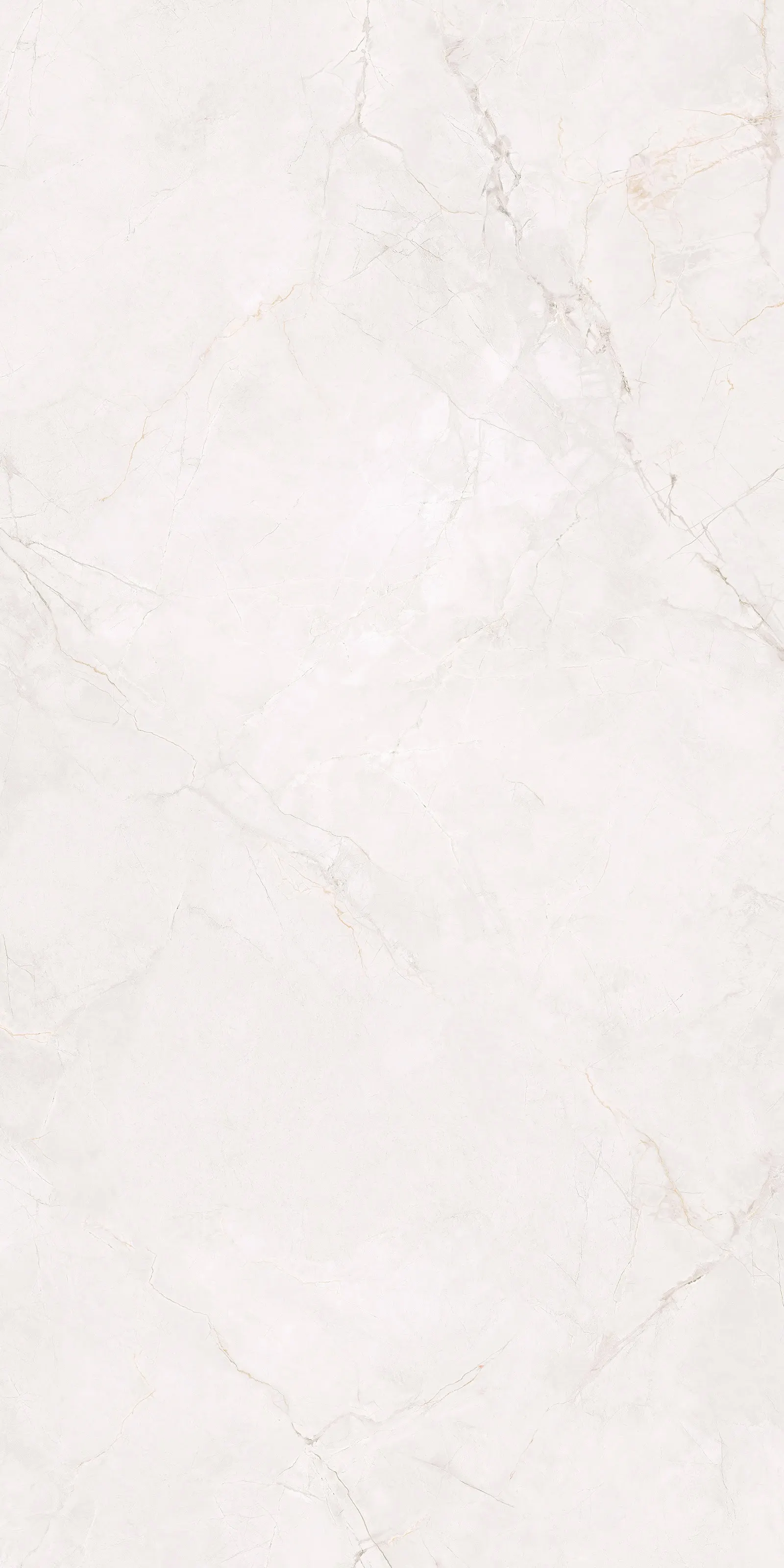 FROZEN ELEGANCE SATIN LITE