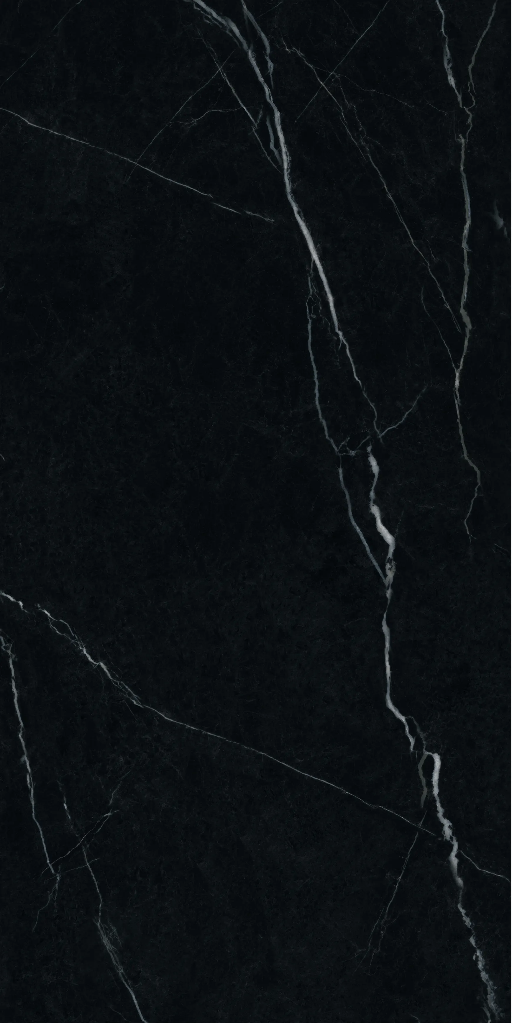 HONGYU NERO MARQUINA