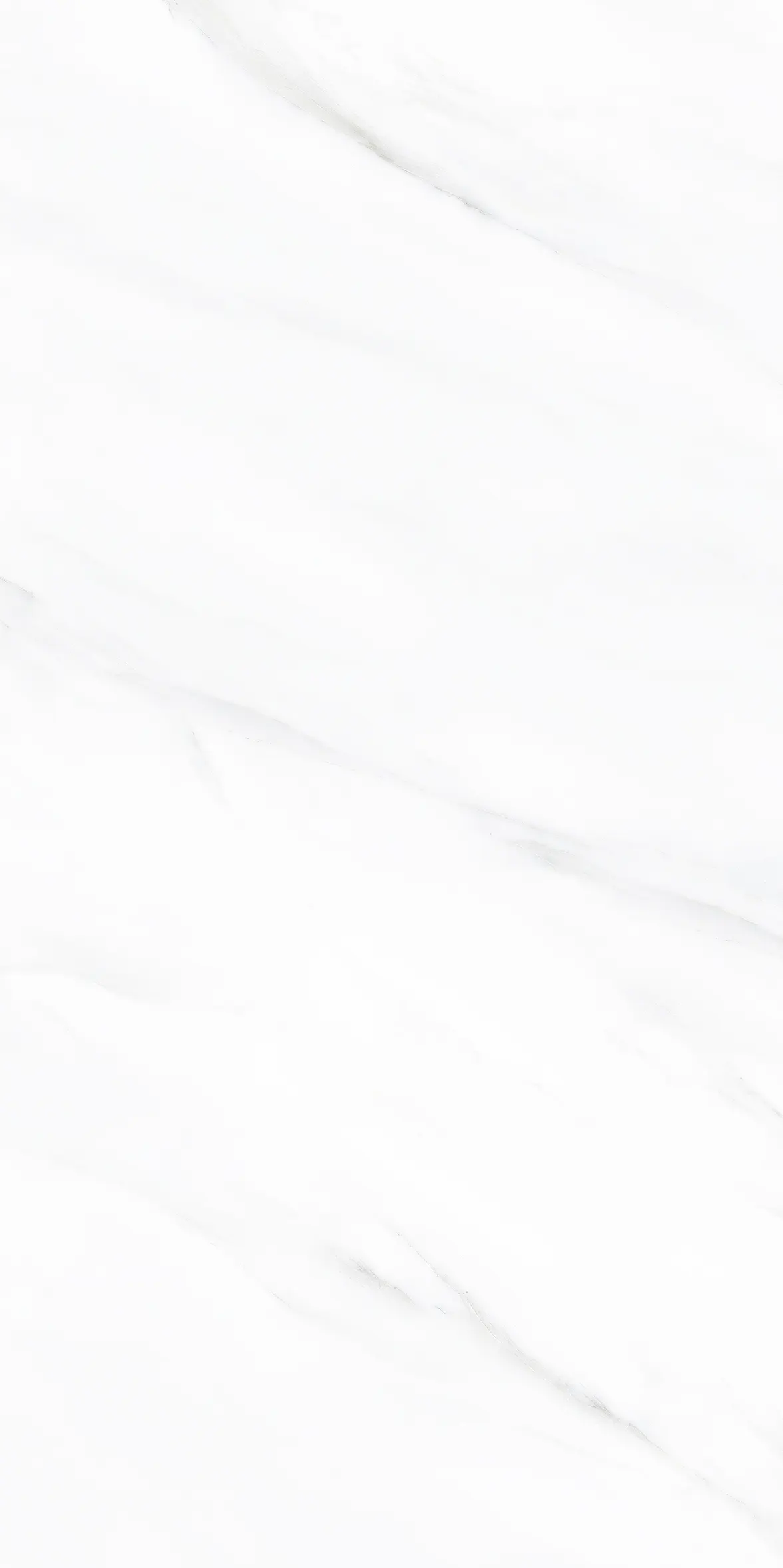 HONGYU POLAR VENUS LITE — White