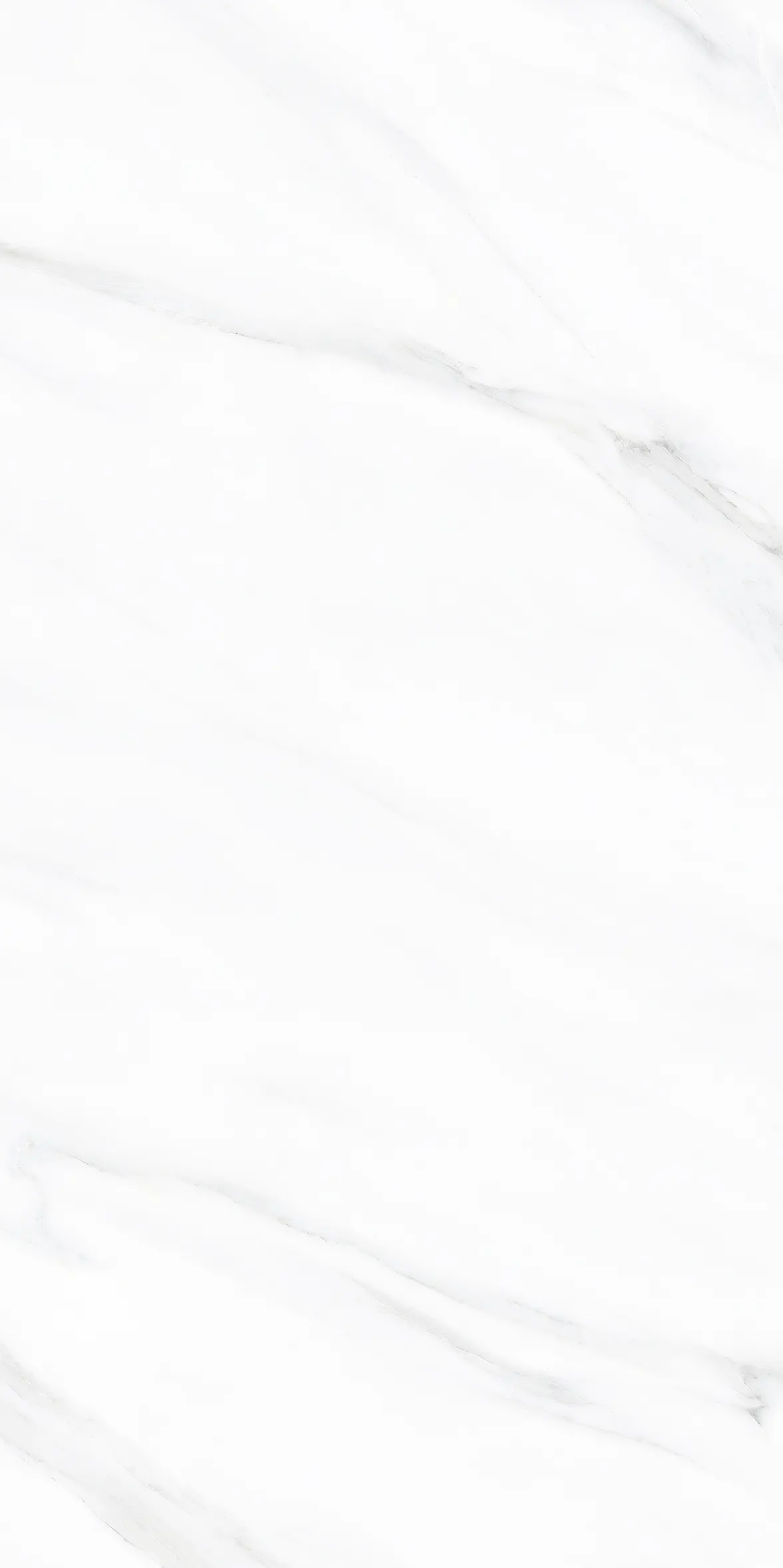 POLAR VENUS LITE